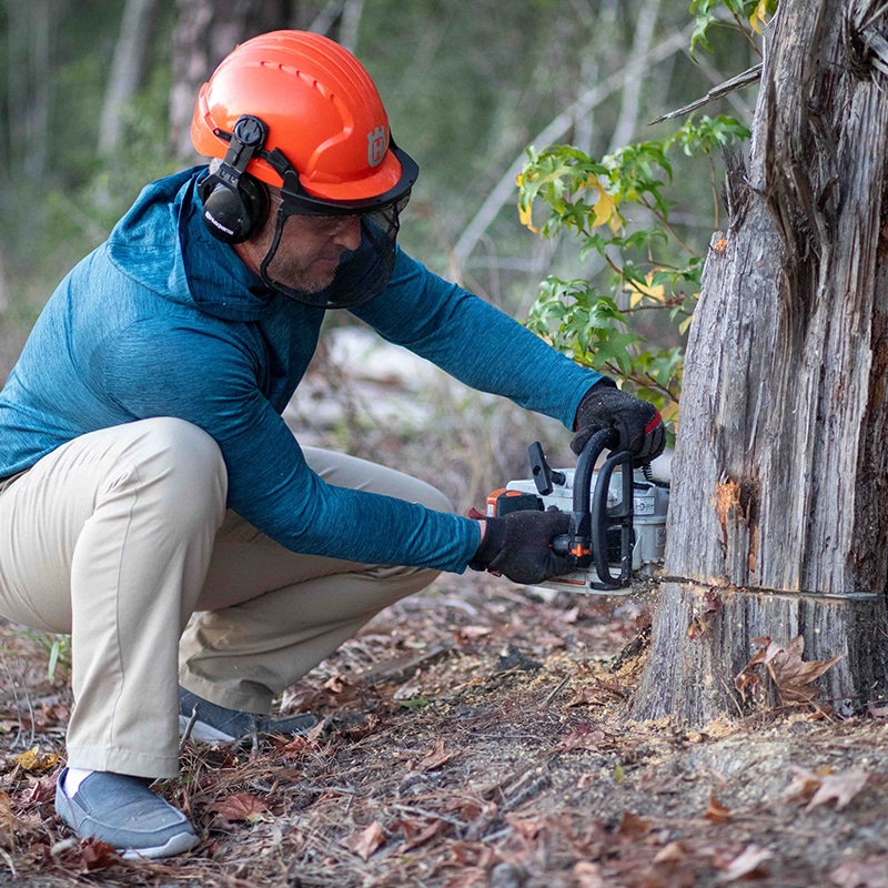 Tree Trimmers of Texas | Tree Removal