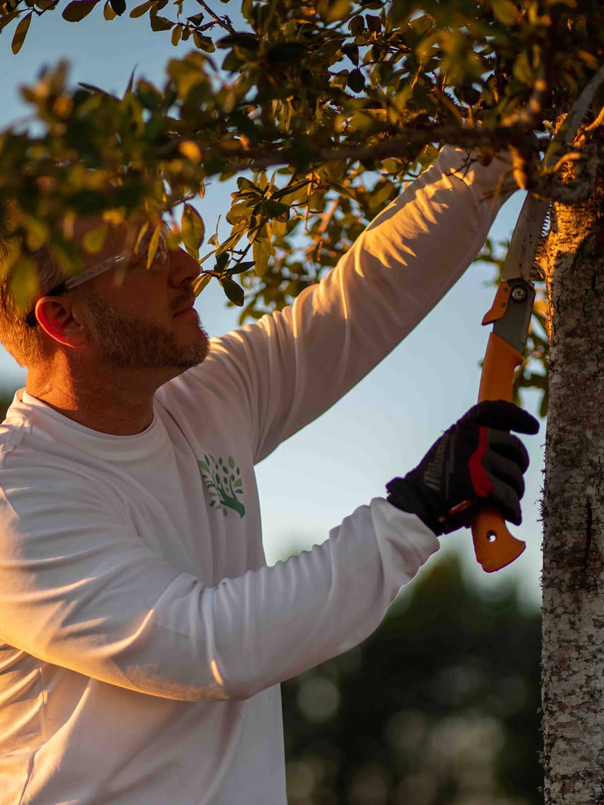 Tree Trimmers of Texas | Tree Trimming and Pruning