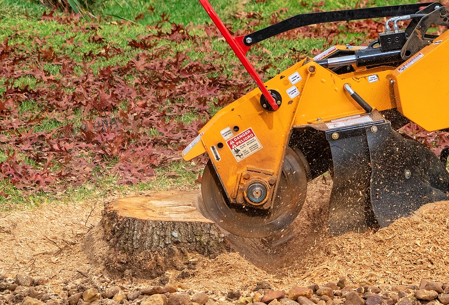 Stump Grinding & Removal Services