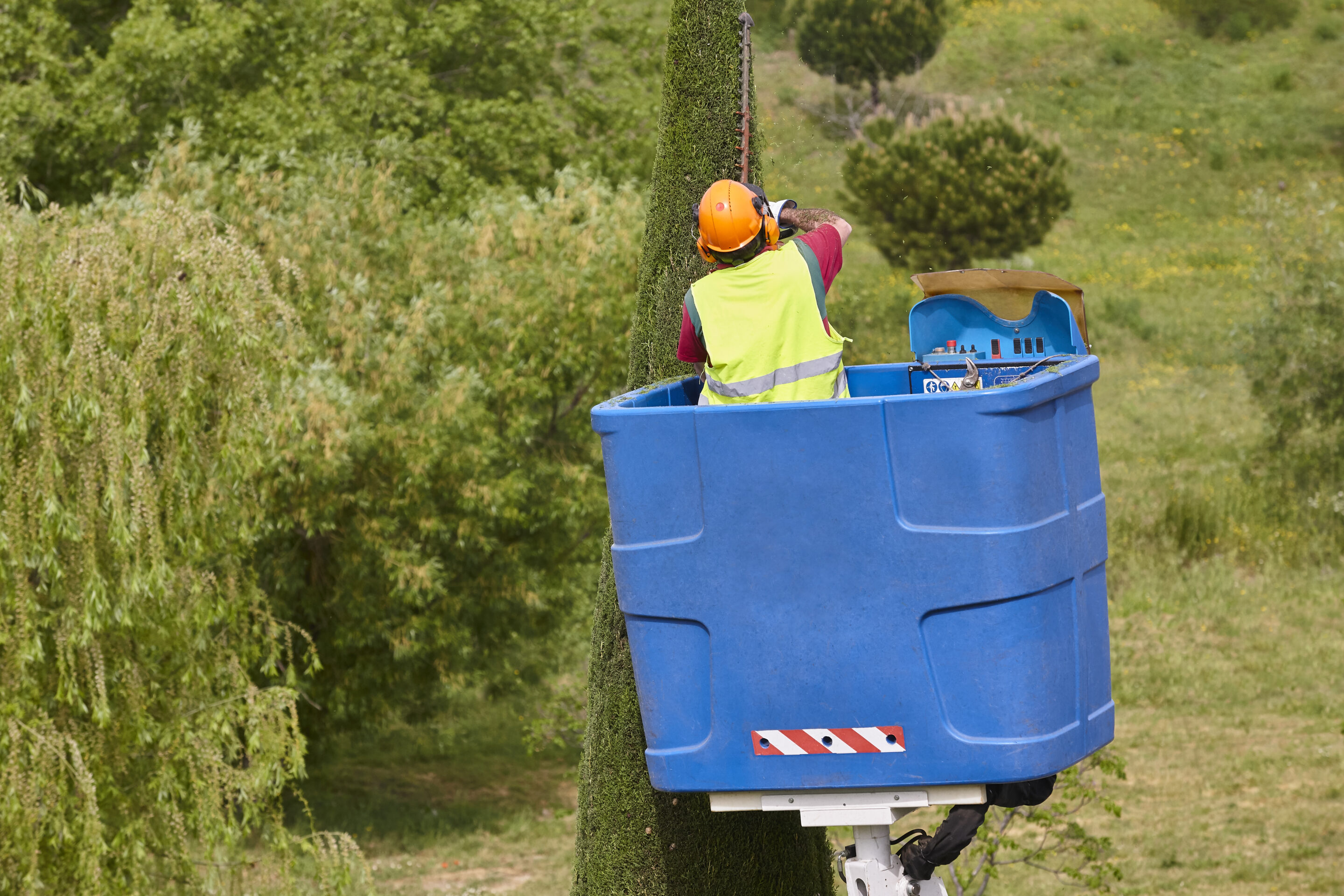 Tree trimming services in Magnolia, TX